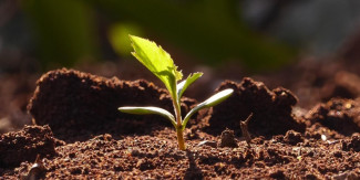 Siehe ich mache alles neu - Segnung und Salbung Neujahr 2026