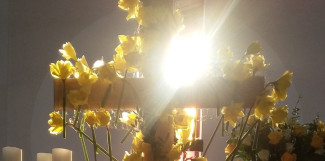 Osternacht 2026 Kreuz - Narzissen